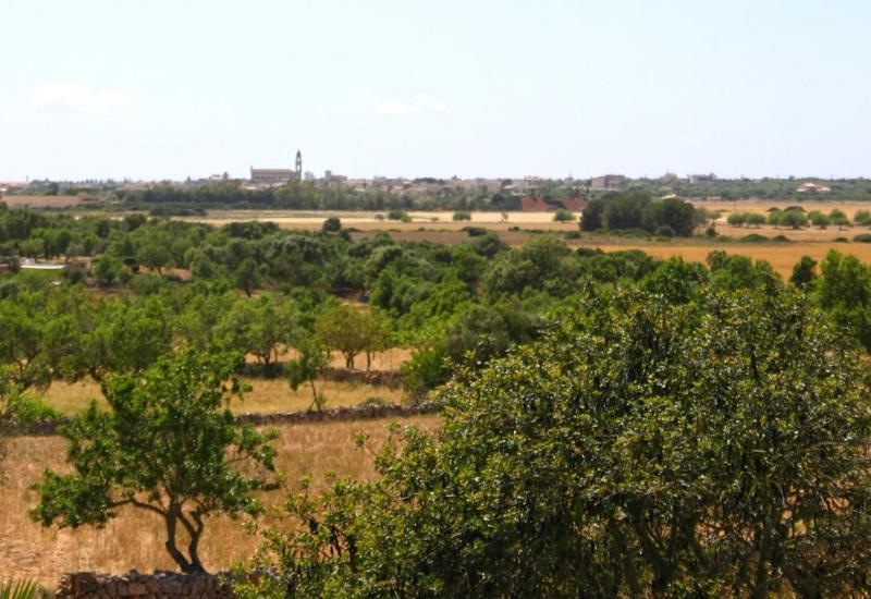 Son Fumat Villa Llombarts Esterno foto