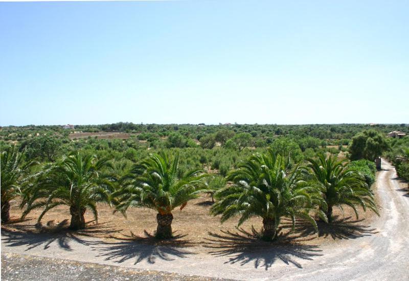 Son Fumat Villa Llombarts Esterno foto
