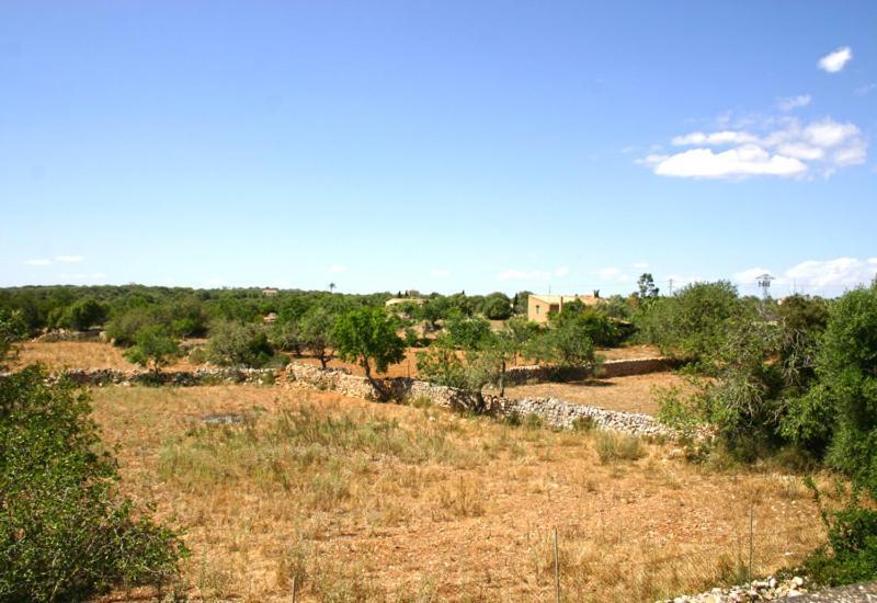 Son Fumat Villa Llombarts Esterno foto